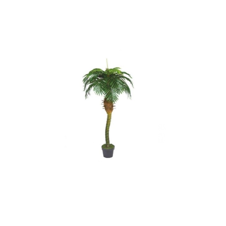 Rent an Artificial Royal Palm Tree in Berlin