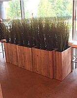 Rent a Wooden Planter Pot in Berlin