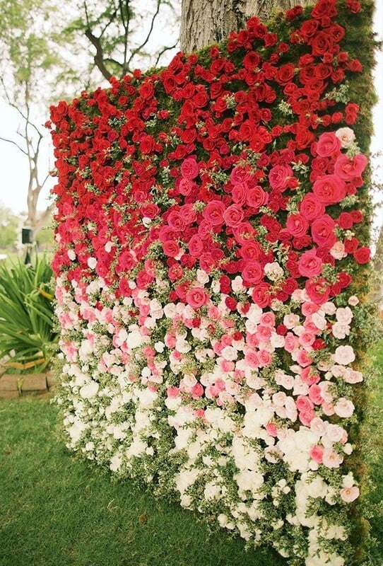 Rent a Flower Wall in Berlin (Silk Blossom Decorative Hedge) Rent a Flower Wall in Berlin (Silk Blossom Decorative Hedge)