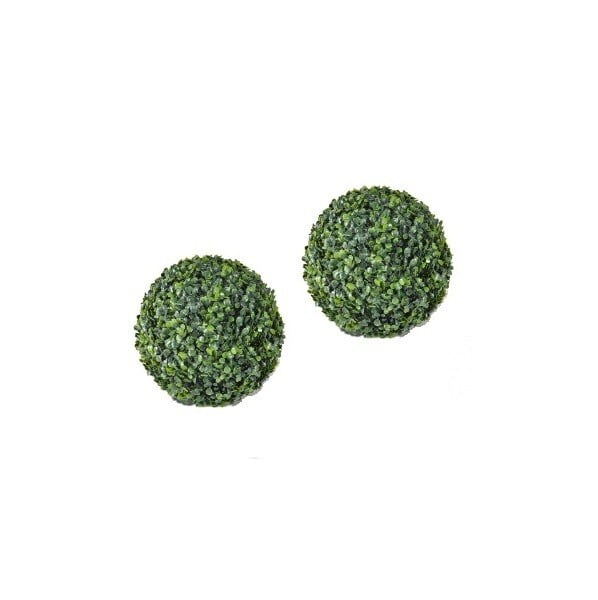Rent a Boxwood Bush in Berlin Rent a Boxwood Bush in Berlin