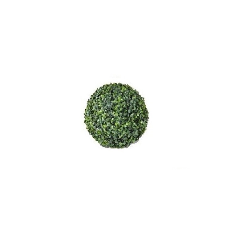 Rent a Boxwood Bush in Berlin Rent a Boxwood Bush in Berlin