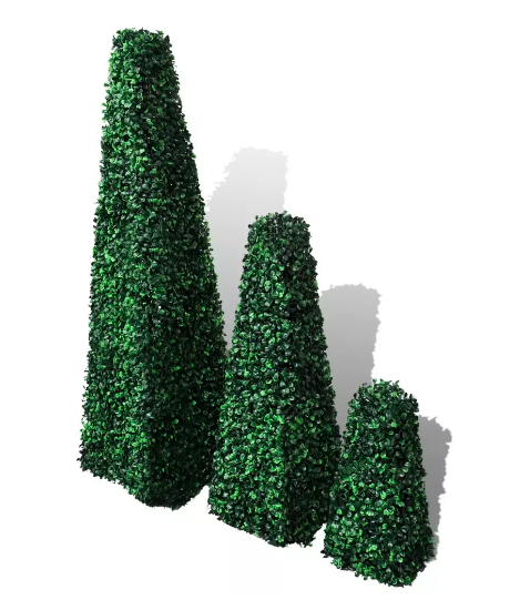 Rent a Boxwood Pyramid Topiary in Berlin Rent a Boxwood Pyramid Topiary in Berlin