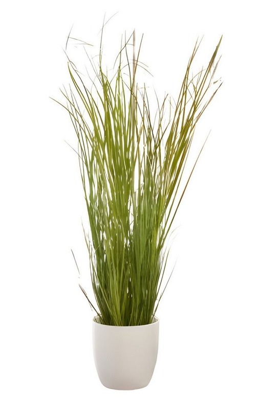 Rent Artificial Plants in Berlin (Charlottenburg – Budget Options)