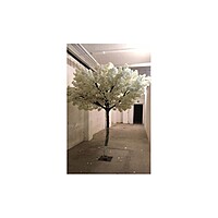 Rent a White Cherry Blossom Tree in Berlin (5 m)