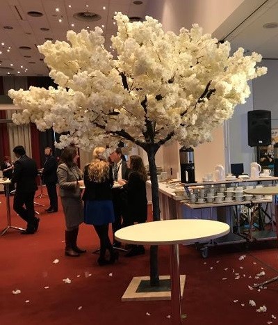 Rent a White Cherry Blossom Tree in Berlin (5 m) Rent a White Cherry Blossom Tree in Berlin (5 m)