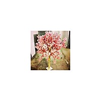 Rent a Cherry Blossom Topiary (≈ 140–160 cm) in Berlin