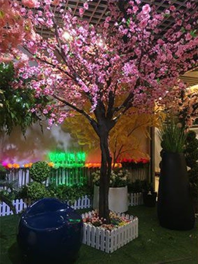 Rent a Cherry Blossom Tree in Berlin (3 m, Pink Blossom)