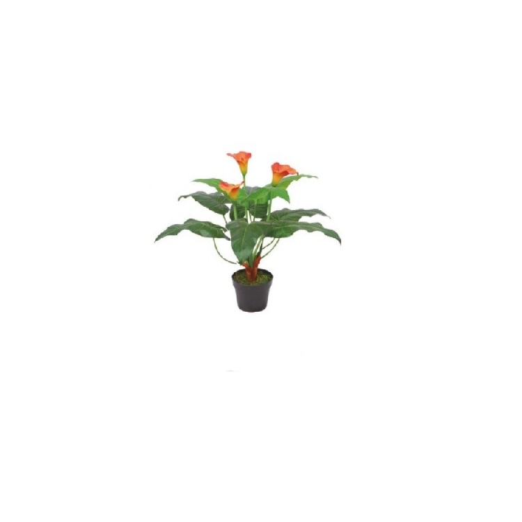Rent an Artificial Calla Lily Plant in Berlin