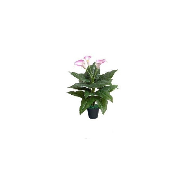 Rent an Artificial Calla Lily in Berlin (~ 55 cm)