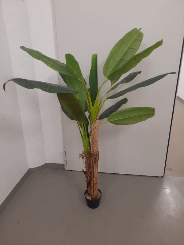 Rent an Artificial Banana Tree in Berlin