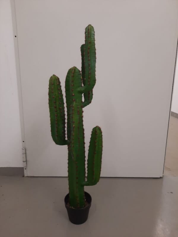 Rent an Artificial Cactus Plant in Berlin (Approx. 115 cm)