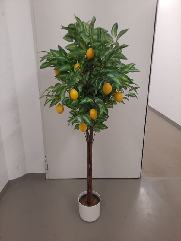 Rent a 180 cm Artificial Lemon Tree in Berlin