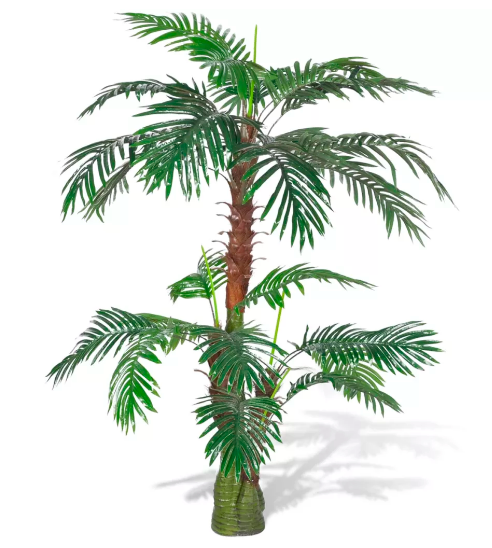 Rent a Cycas Palm in Berlin (Approx. 150 cm) Rent a Cycas Palm in Berlin (Approx. 150 cm)
