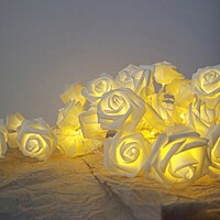 Rent White LED Rose Fairy Lights in Berlin (5 m, 40 Roses)