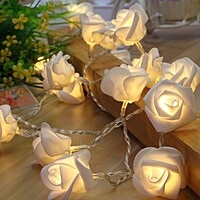 Rent White LED Rose Fairy Lights in Berlin (5 m, 40 Roses)