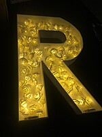 Rent White LED Rose Fairy Lights in Berlin (5 m, 40 Roses)