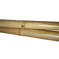 Hire a Bamboo Room Divider in Berlin – Event Partition Wall Rental