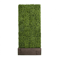 Hedge Wall Rental Berlin – Artificial Green Plant Wall 250 × 100 cm