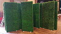 Hedge Wall Rental Berlin – Artificial Green Plant Wall 250 × 100 cm