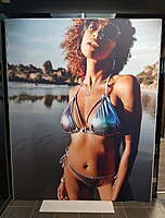 Step and Repeat Wall Hire Berlin – 5m Sponsor & Press Backdrop