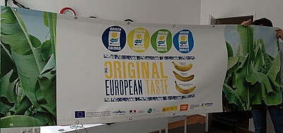 Heavy-Duty PVC Banner Printing in Berlin – 1×1m Extreme Frontlit