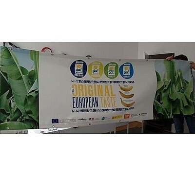 PVC Frontlit Banner Berlin  Affordable Option in Charlottenburg (No B1)