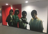 Custom Wall Coverings Berlin  Bespoke Wall Films Tailored to Your Needs