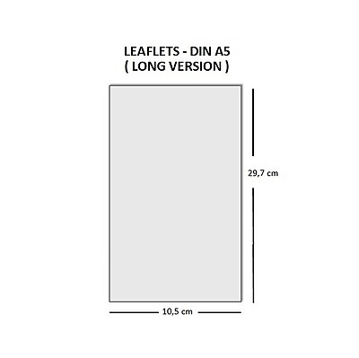 Flyer DIN A5 Long  Printed Flyers Berlin (10.5 × 29.7 cm)
