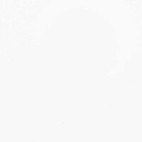 Matte PVC Exhibition Flooring Roll Hire in Berlin