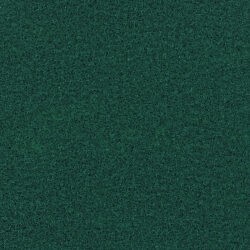 Premium GreenVelour Exhibition Carpet Roll Hire in Berlin
