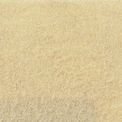 Premium Sand Velour Exhibition Carpet Roll Hire in Berlin